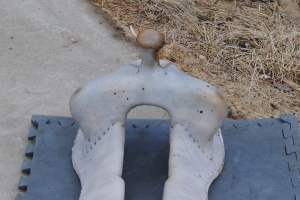 2014 April 25 7 Will James saddle tree starting to dry.JPG